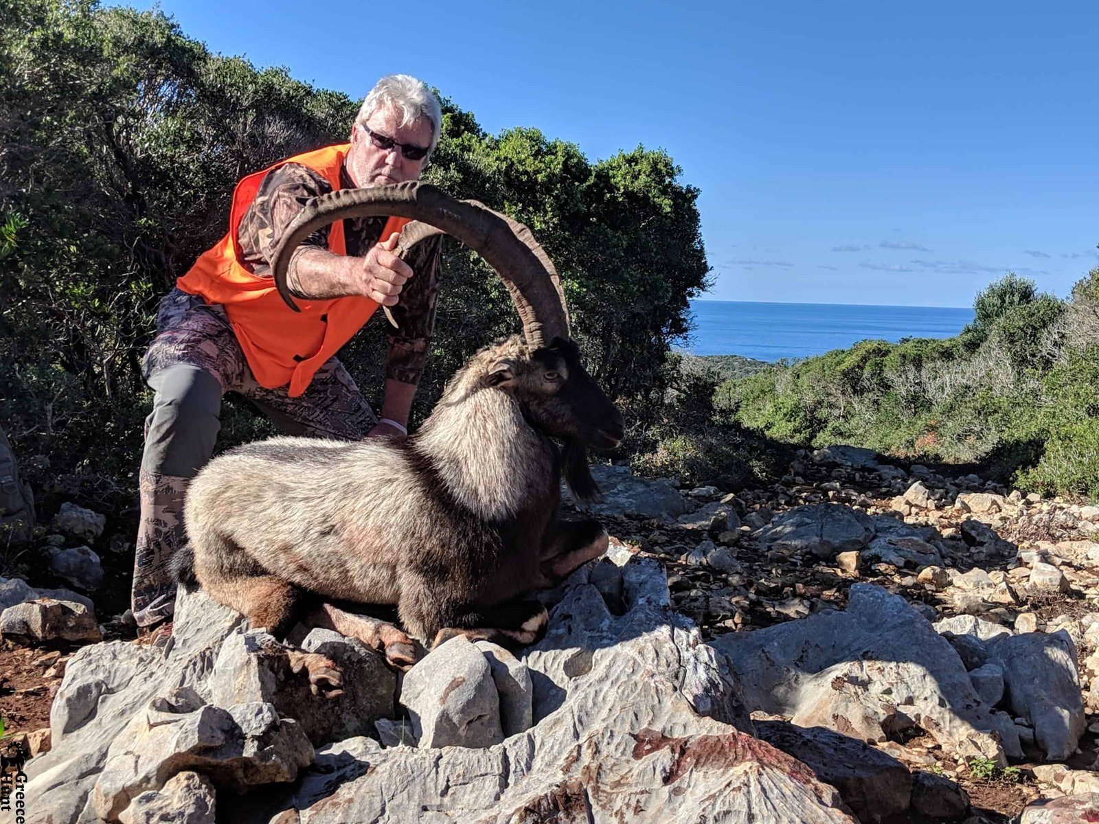 Kri kri trophy on Sapientza island