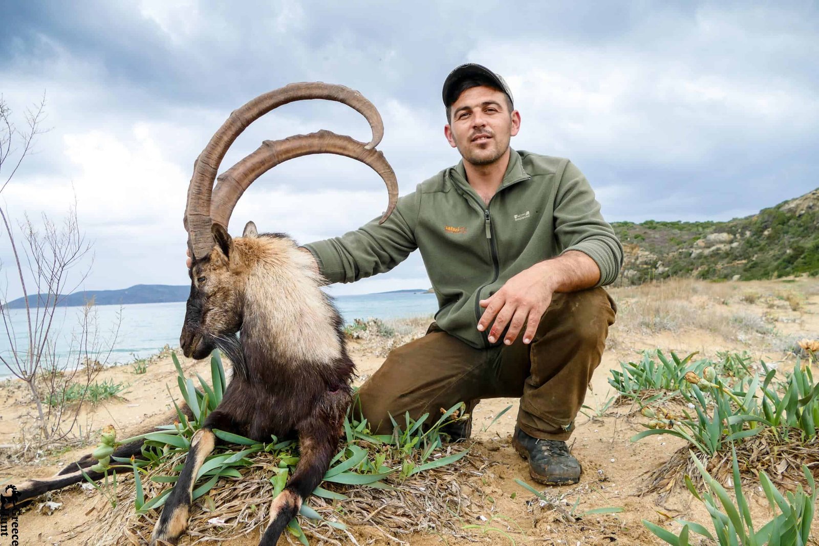 KrikritrophyonSapientzaisland